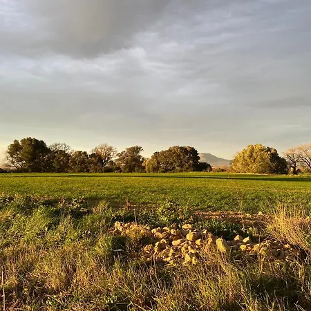 Moderno En Empordà Golf