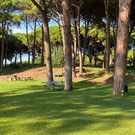Moderno En Emporda Golf *